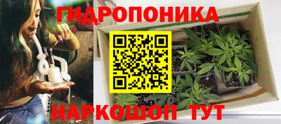 мяу мяу кристалл Можга