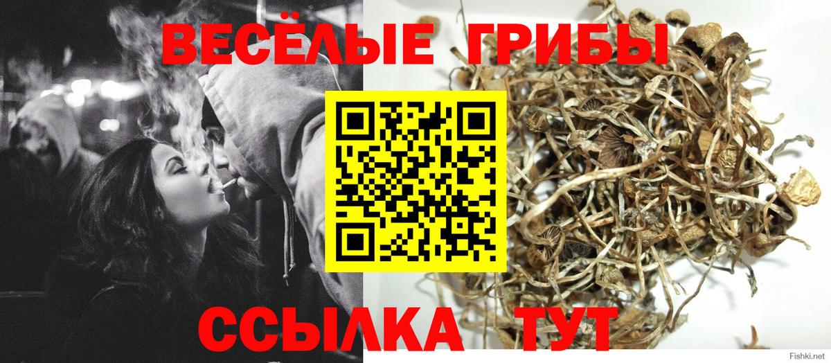 Галлюциногенные грибы прущие грибы Холмск