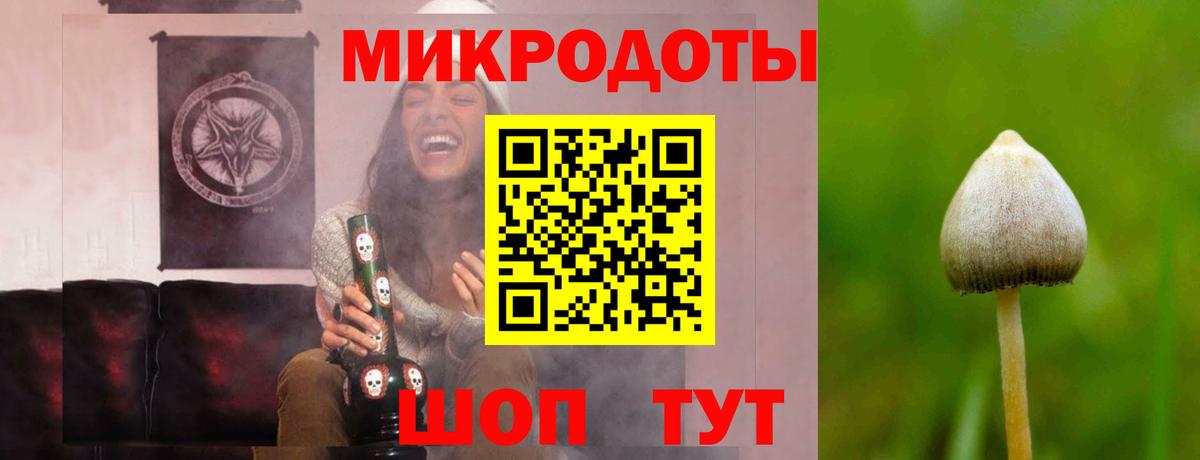 Холмск  Псилоцибиновые грибы мицелий  Вход с VPN  Псилоцибиновые грибы прущие грибы 